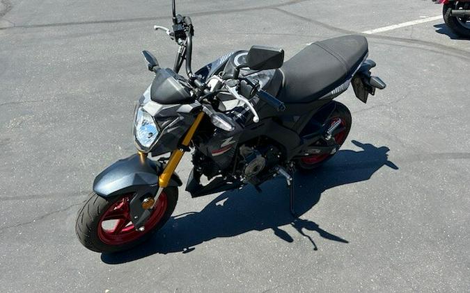 2024 Kawasaki Z125 PRO