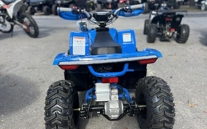2026 Denago Powersports E-Hawk 6