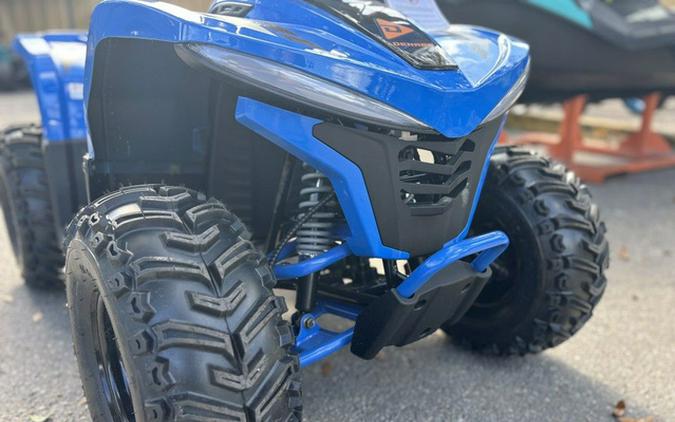 2026 Denago Powersports E-Hawk 6