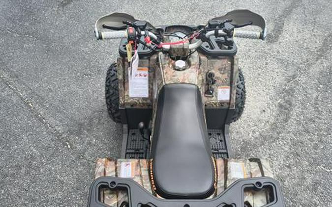 2026 Denago Powersports Mudhawk 10FI