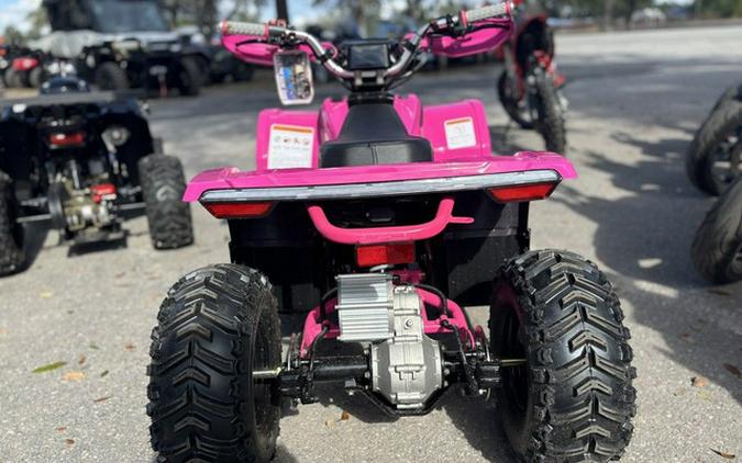 2026 Denago Powersports E-Hawk 6