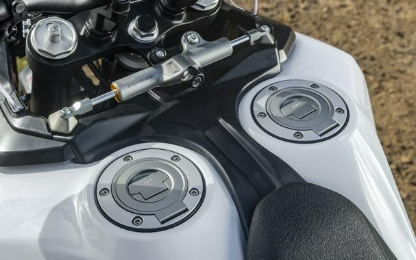 2026 Yamaha Ténéré 700 World Raid