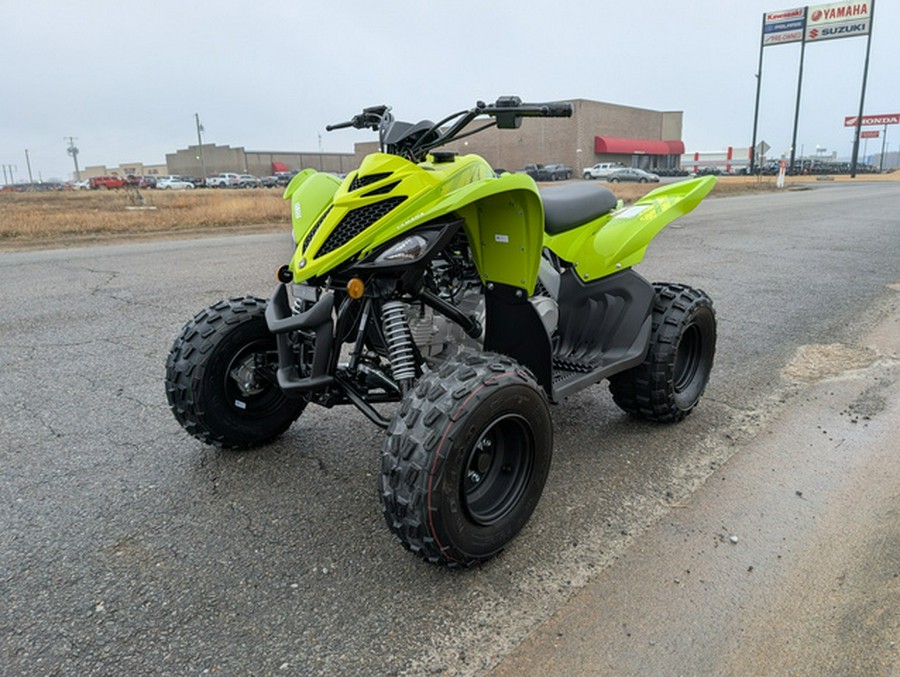 2026 Yamaha Raptor 110