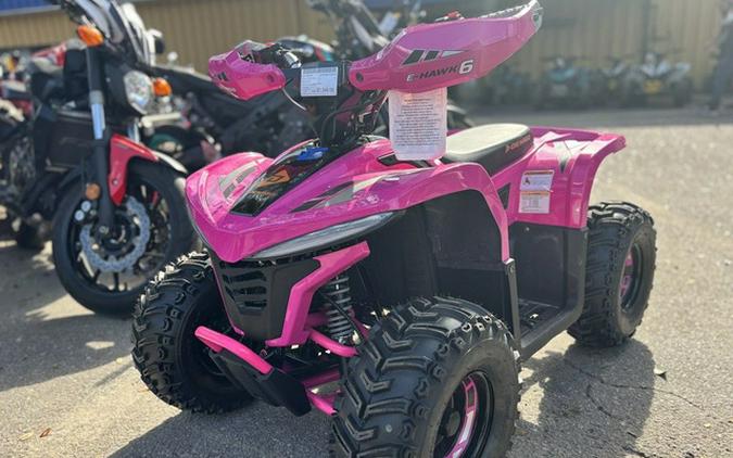 2026 Denago Powersports E-Hawk 6