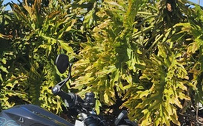 2026 Triumph Street Triple 765 RS Granite RS