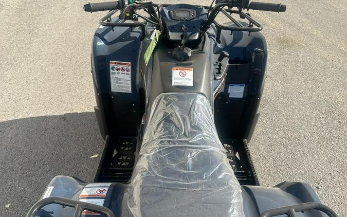 2025 Kawasaki GRAYISH BLUE BRUTE FORCE 300