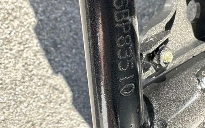 2025 Kawasaki GRAYISH BLUE BRUTE FORCE 300