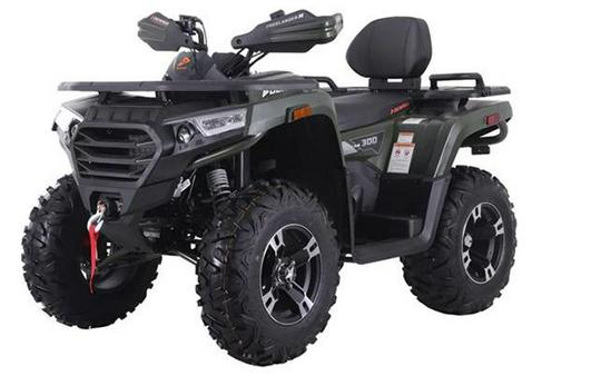 2026 Denago Powersports Freelander 300FI