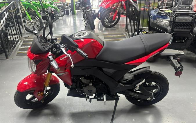 2023 Kawasaki Z125 PRO