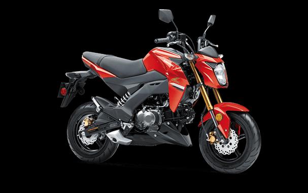 2023 Kawasaki Z125 PRO
