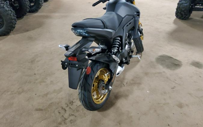 2024 Kawasaki Z125 PRO Base