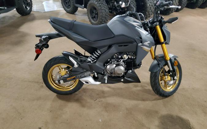 2024 Kawasaki Z125 PRO Base