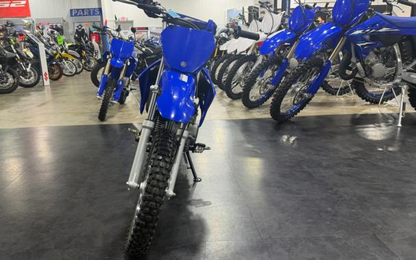 2027 Yamaha TTR110EV