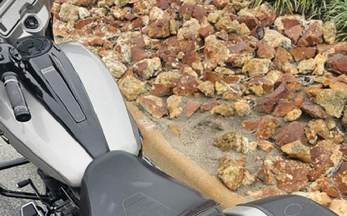 2023 Harley-Davidson FLHXSE - CVO Street Glide