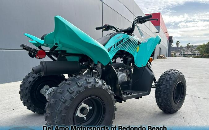 2025 Yamaha RAPTOR 110