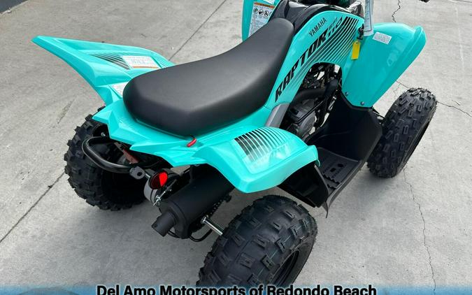 2025 Yamaha RAPTOR 110