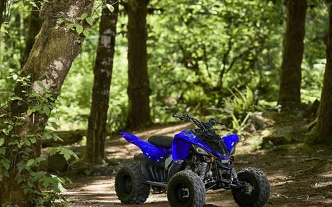 2026 Yamaha Raptor 110