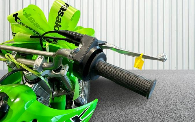 2025 Kawasaki KLX 110R