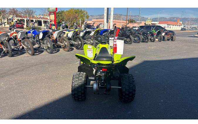 2026 Yamaha Raptor 110