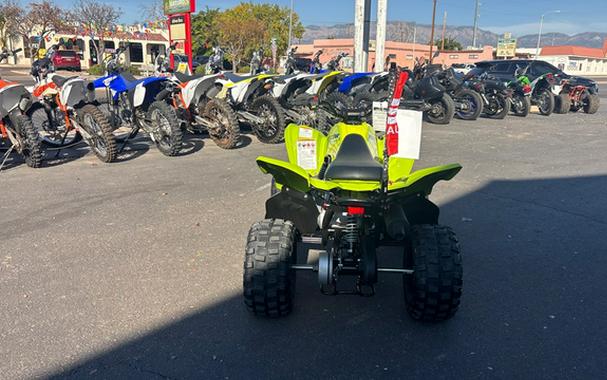 2026 Yamaha Raptor 110