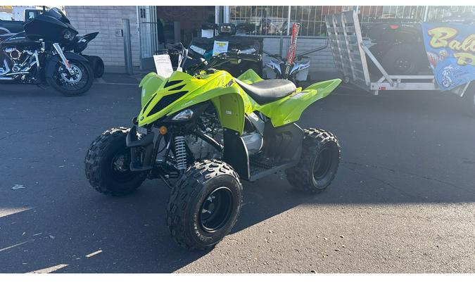 2026 Yamaha Raptor 110