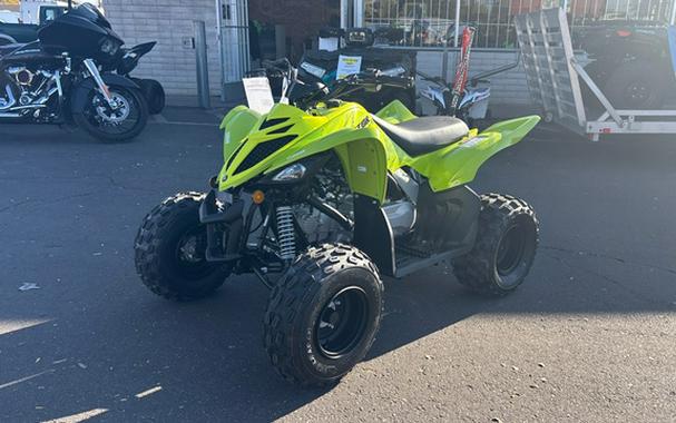 2026 Yamaha Raptor 110