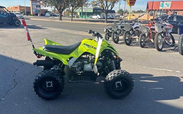 2026 Yamaha Raptor 110
