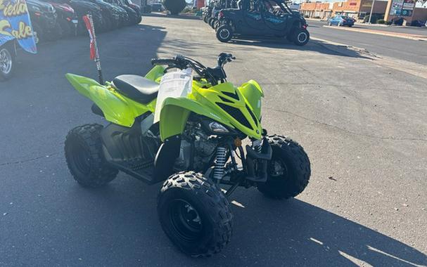 2026 Yamaha Raptor 110