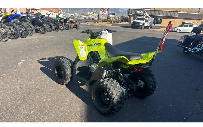 2026 Yamaha Raptor 110