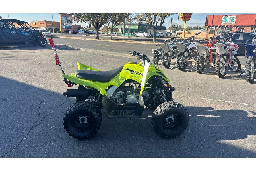 2026 Yamaha Raptor 110