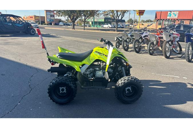 2026 Yamaha Raptor 110