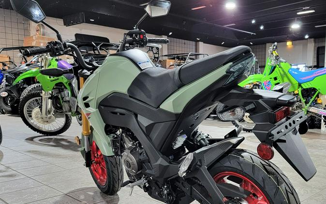 2023 Kawasaki Z125 Pro