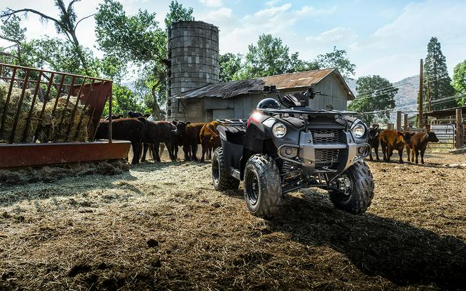 2023 Kawasaki Brute Force 300