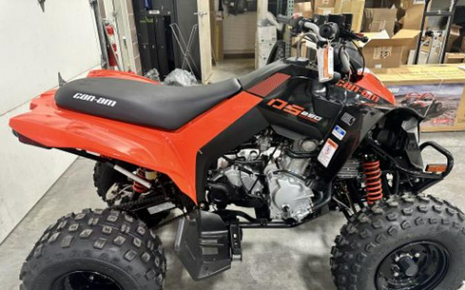 2026 Can-Am DS 250
