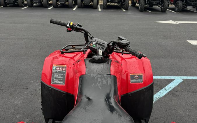 2024 Honda FourTrax Recon Base
