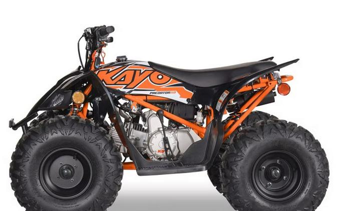 2026 Kayo Predator 110