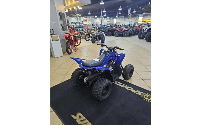 2025 Yamaha Raptor 110