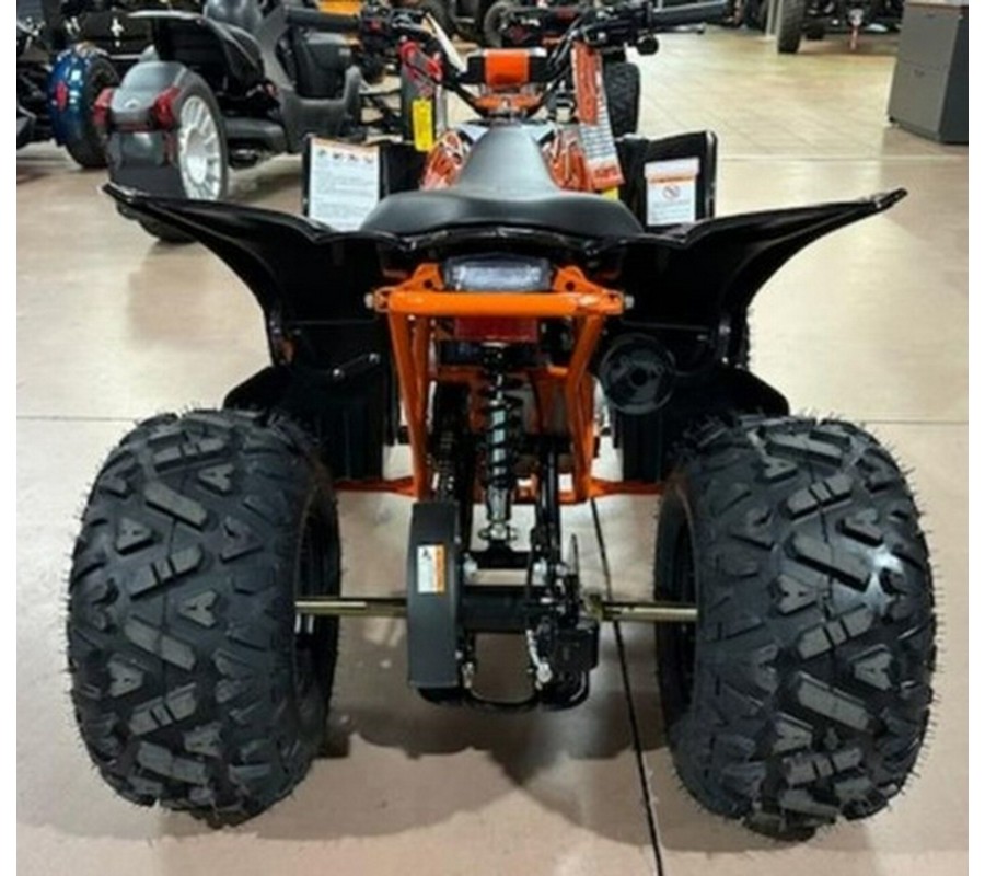 2025 Kayo Predator 125