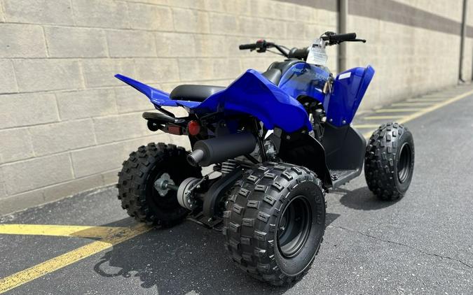 2024 Yamaha Raptor 110