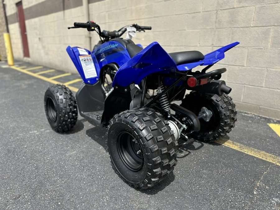 2024 Yamaha Raptor 110