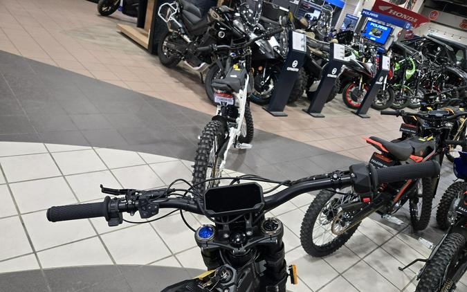 2025 79 BIKE FALCON GT