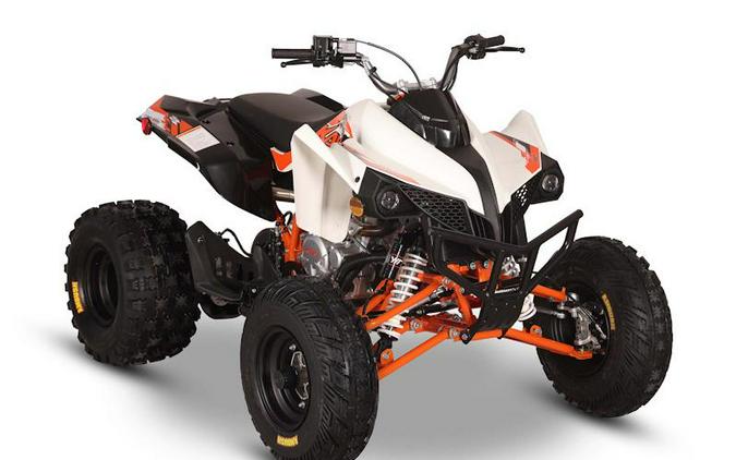 2026 Kayo Storm 300 EFI