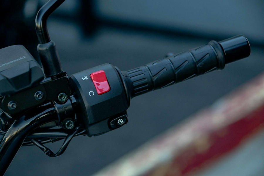 2025 Kawasaki Eliminator® SE ABS