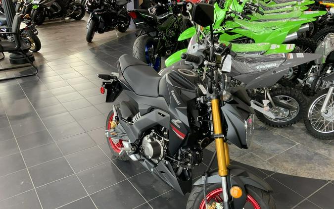 2021 Kawasaki Z125 PRO