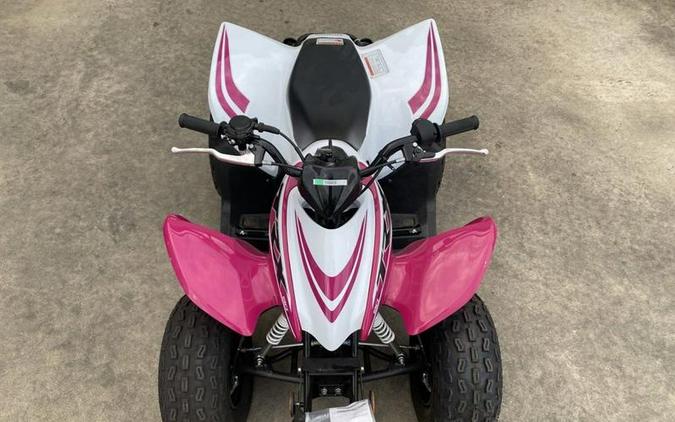 2023 Honda® TRX90X