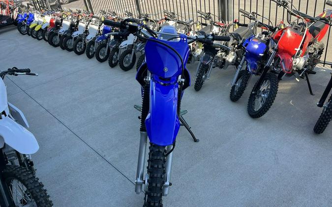 2025 Yamaha TT-R 230