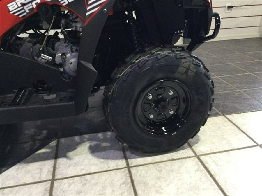 2024 Kawasaki Brute Force 300