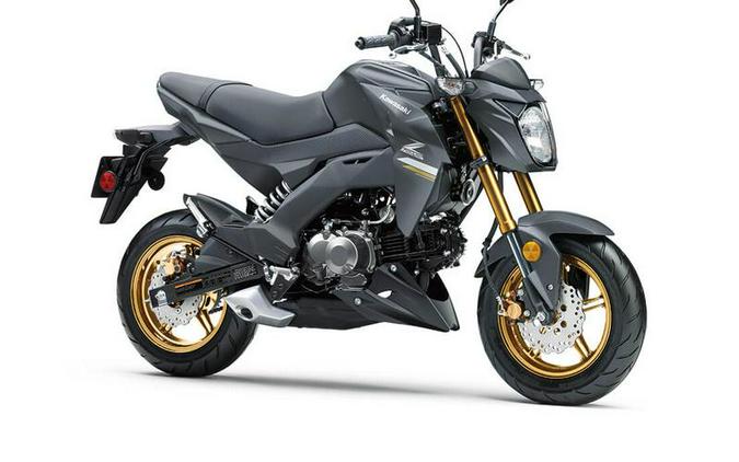 2024 Kawasaki Z125 PRO