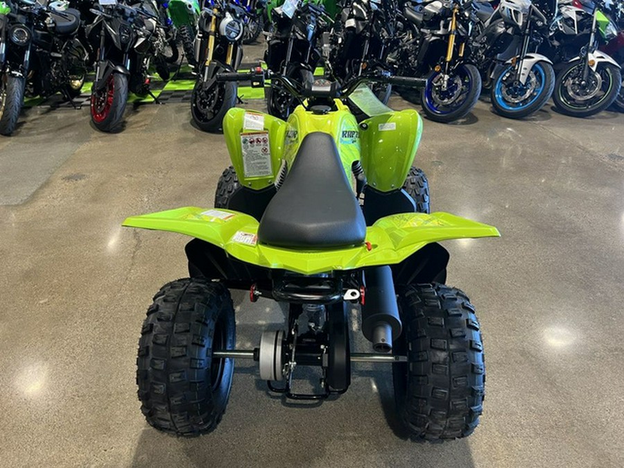 2026 Yamaha Raptor 110