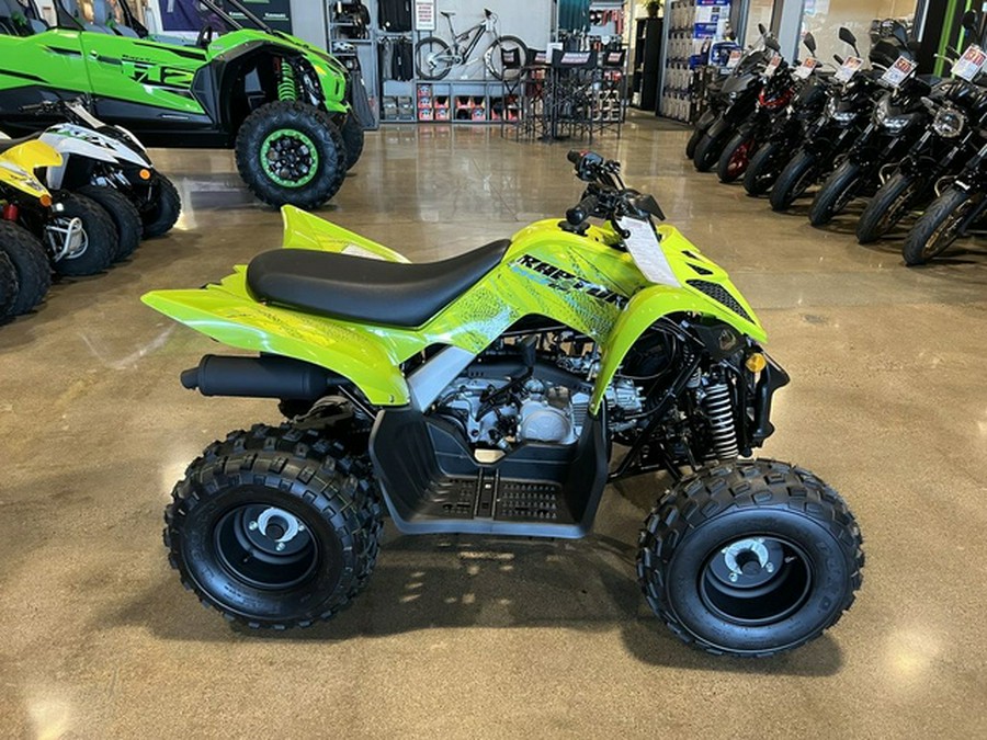 2026 Yamaha Raptor 110